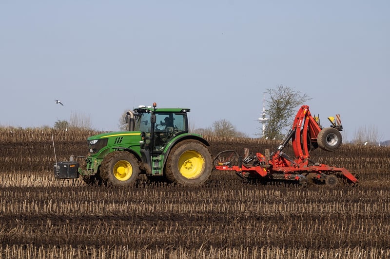 Fertilizing Tips