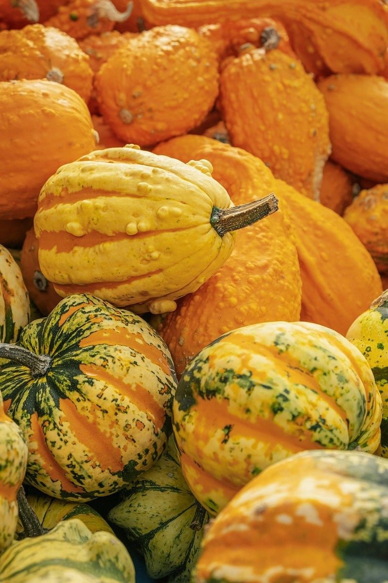 Seasonal Displays